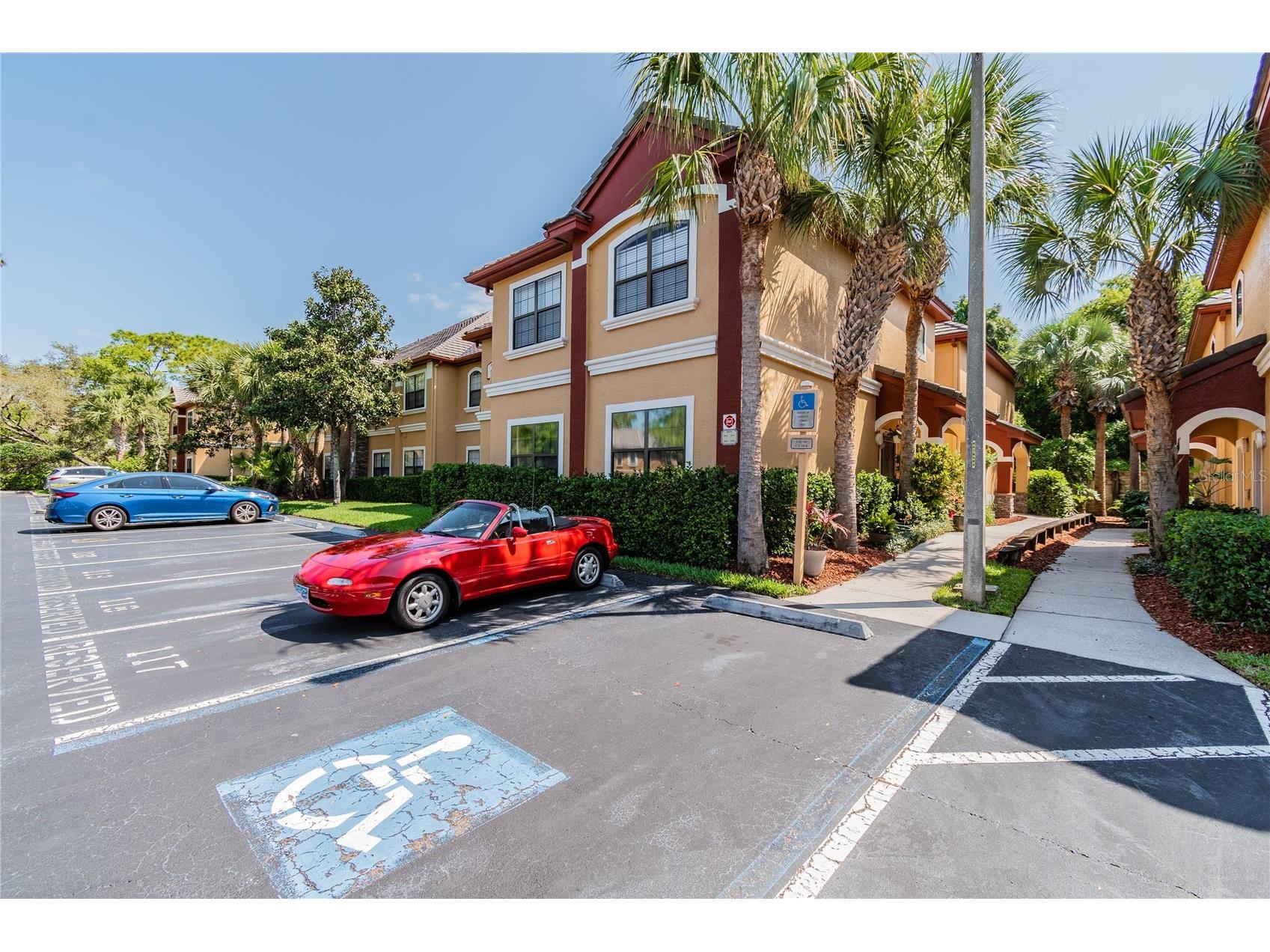 2265 Portofino Place #21-212 Palm Harbor FL 34683 TB8508912 image4