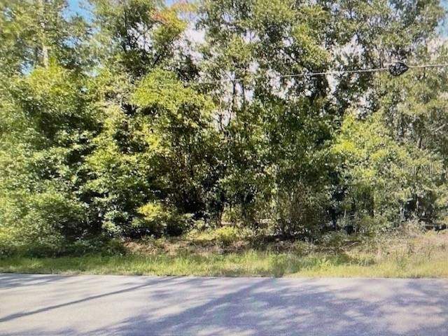 2265 SW Admiral Landing Drive Dunnellon FL 34431 OM714835 image1