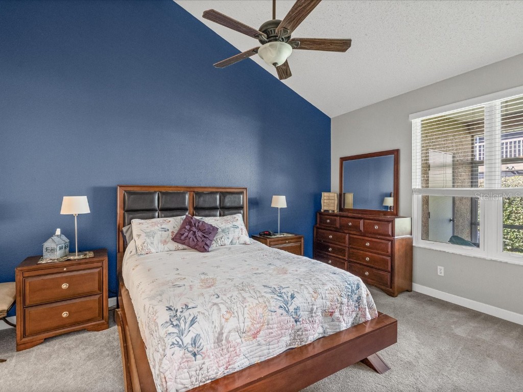 2267 Andover Circle Palm Harbor FL 34683 TB8444414 image15