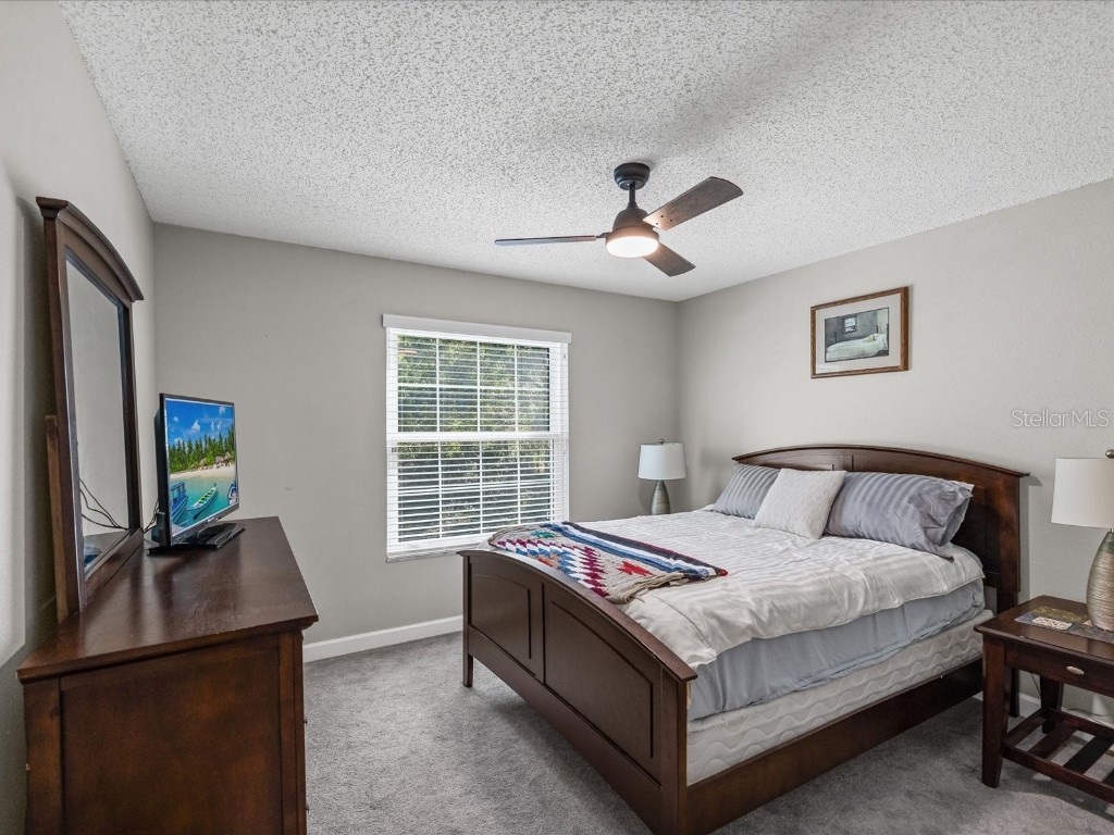 2267 Andover Circle Palm Harbor FL 34683 TB8444414 image23