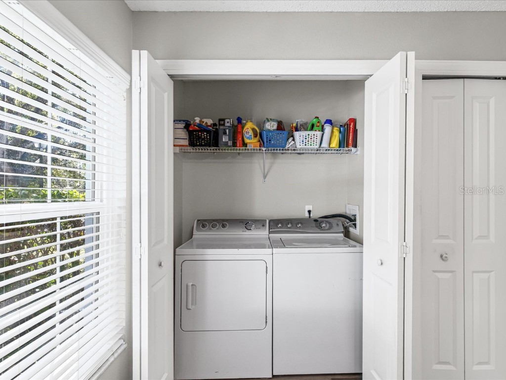 2267 Andover Circle Palm Harbor FL 34683 TB8444414 image27