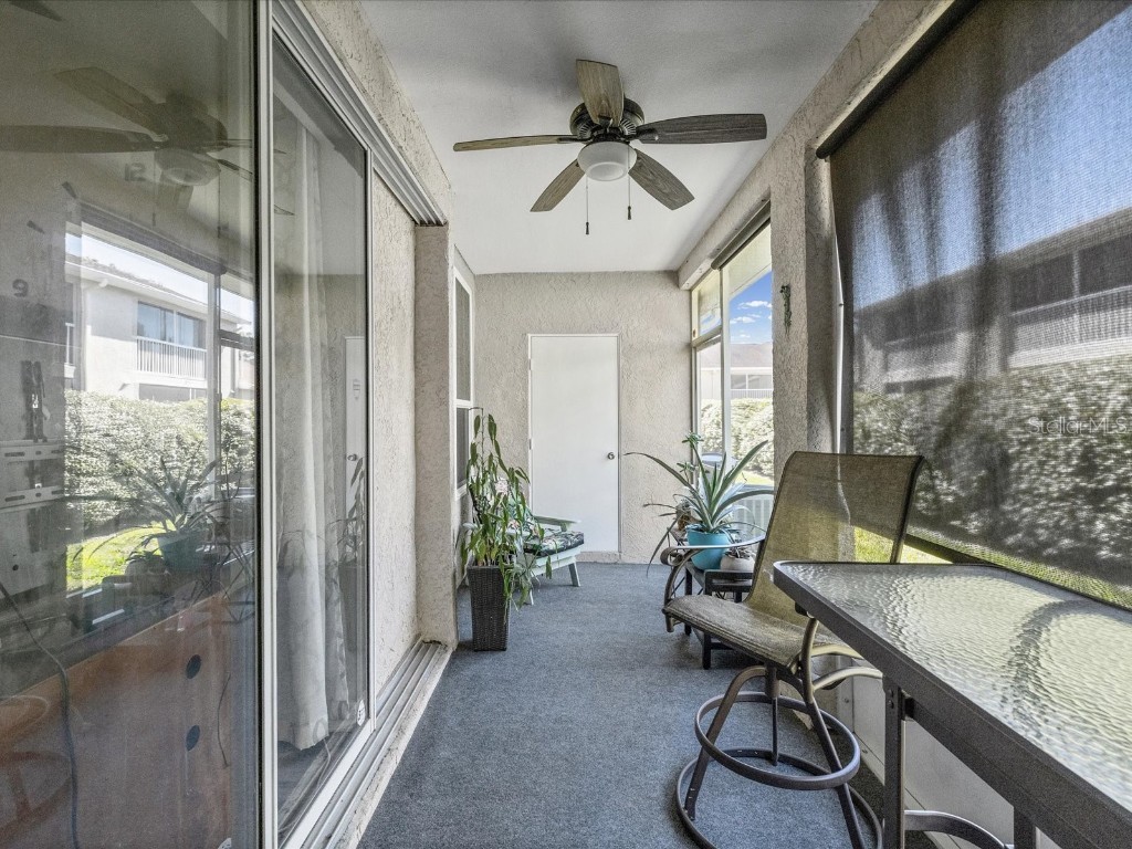 2267 Andover Circle Palm Harbor FL 34683 TB8444414 image28