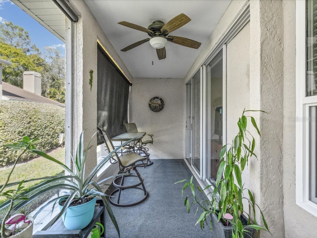 2267 Andover Circle Palm Harbor FL 34683 TB8444414 image29