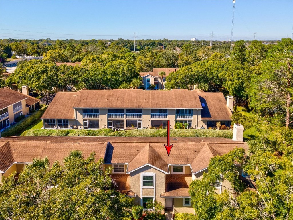 2267 Andover Circle Palm Harbor FL 34683 TB8444414 image36