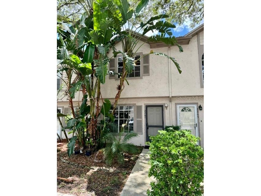2267 Fletchers Point Circle Tampa FL 33613 T3545645 image1