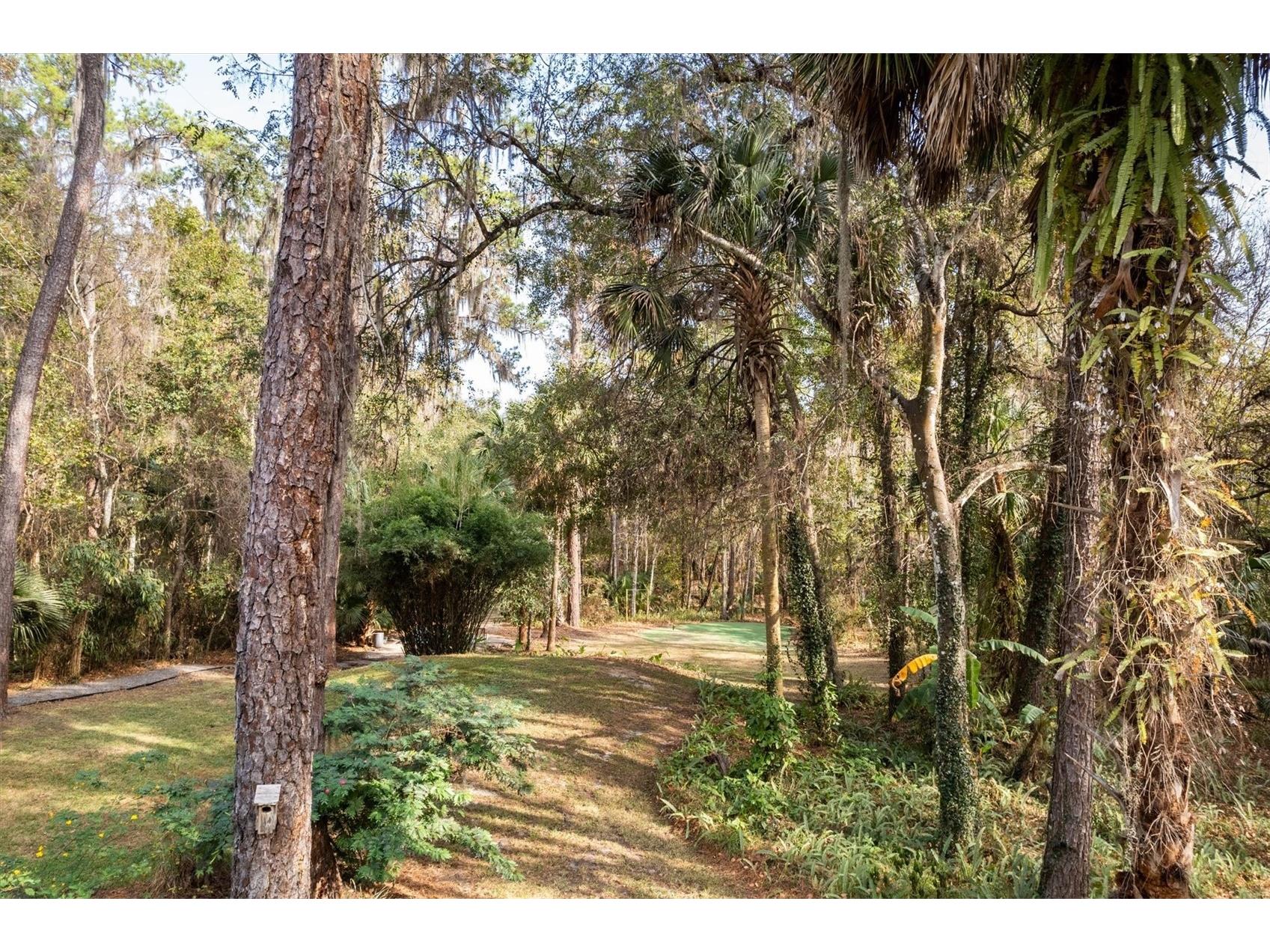 22675 NW 75th Avenue Road Micanopy FL 32667 GC537373 image52