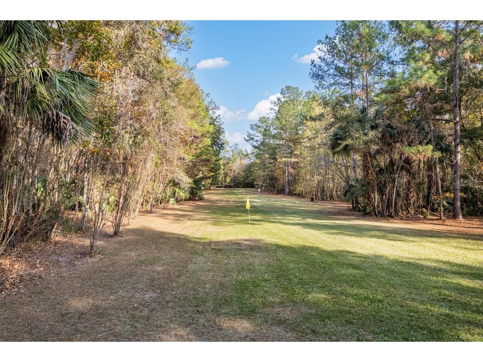 22675 NW 75th Avenue Road Micanopy FL 32667 GC537373 image54