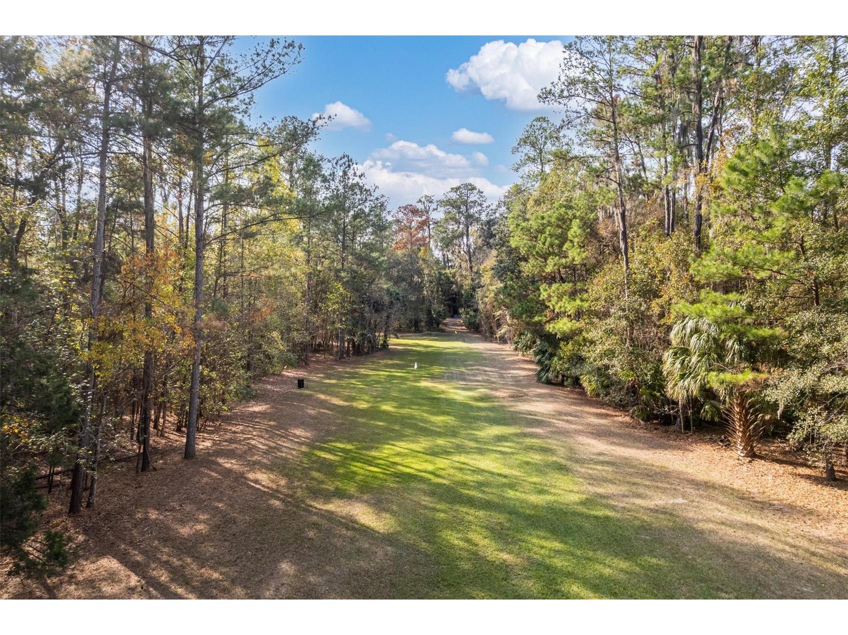 22675 NW 75th Avenue Road Micanopy FL 32667 GC537373 image55