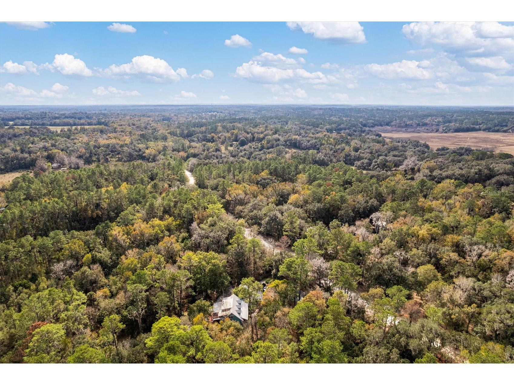 22675 NW 75th Avenue Road Micanopy FL 32667 GC537373 image72