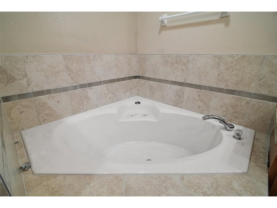 2269 Bracknell Forest Trail Tavares FL 32778 O6291899 image15