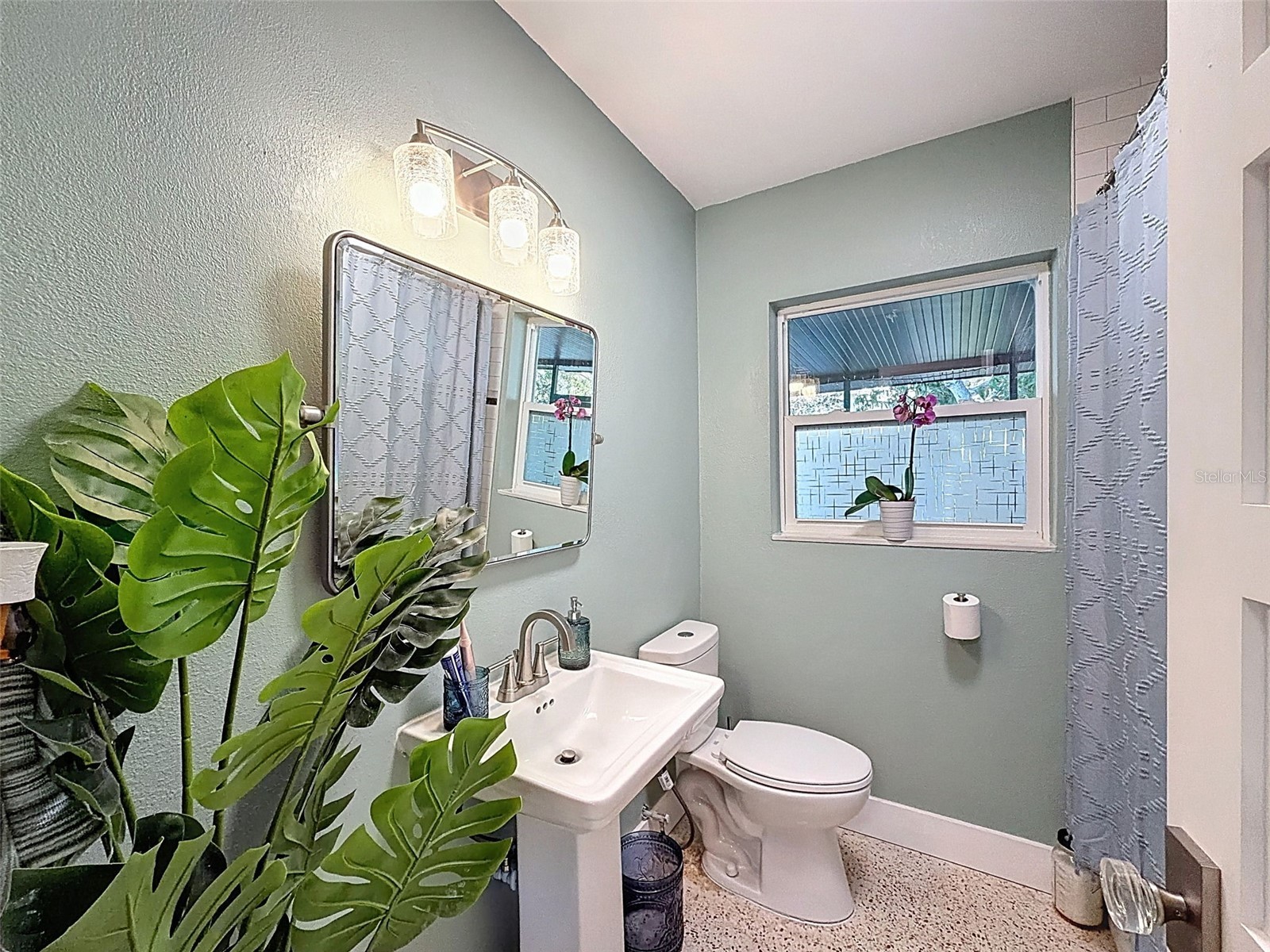 2269 Carolyn Drive Dunedin FL 34698 TB8473059 image25