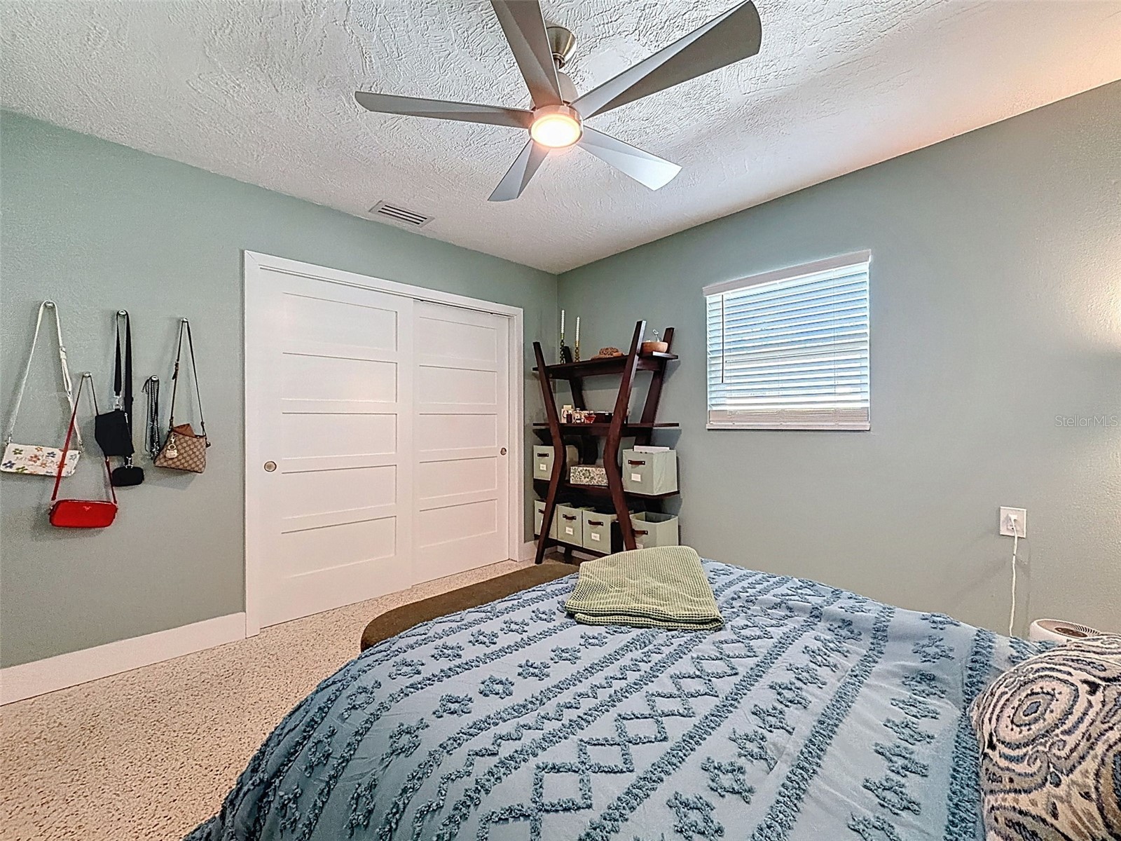 2269 Carolyn Drive Dunedin FL 34698 TB8473059 image29