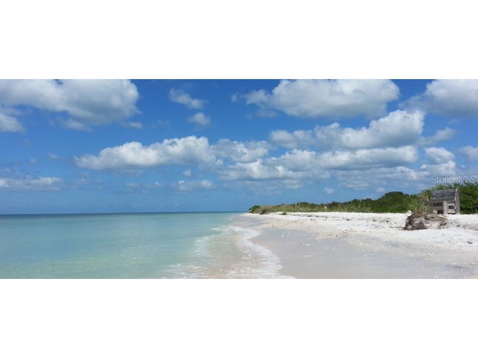 2269 Carolyn Drive Dunedin FL 34698 TB8473059 image45