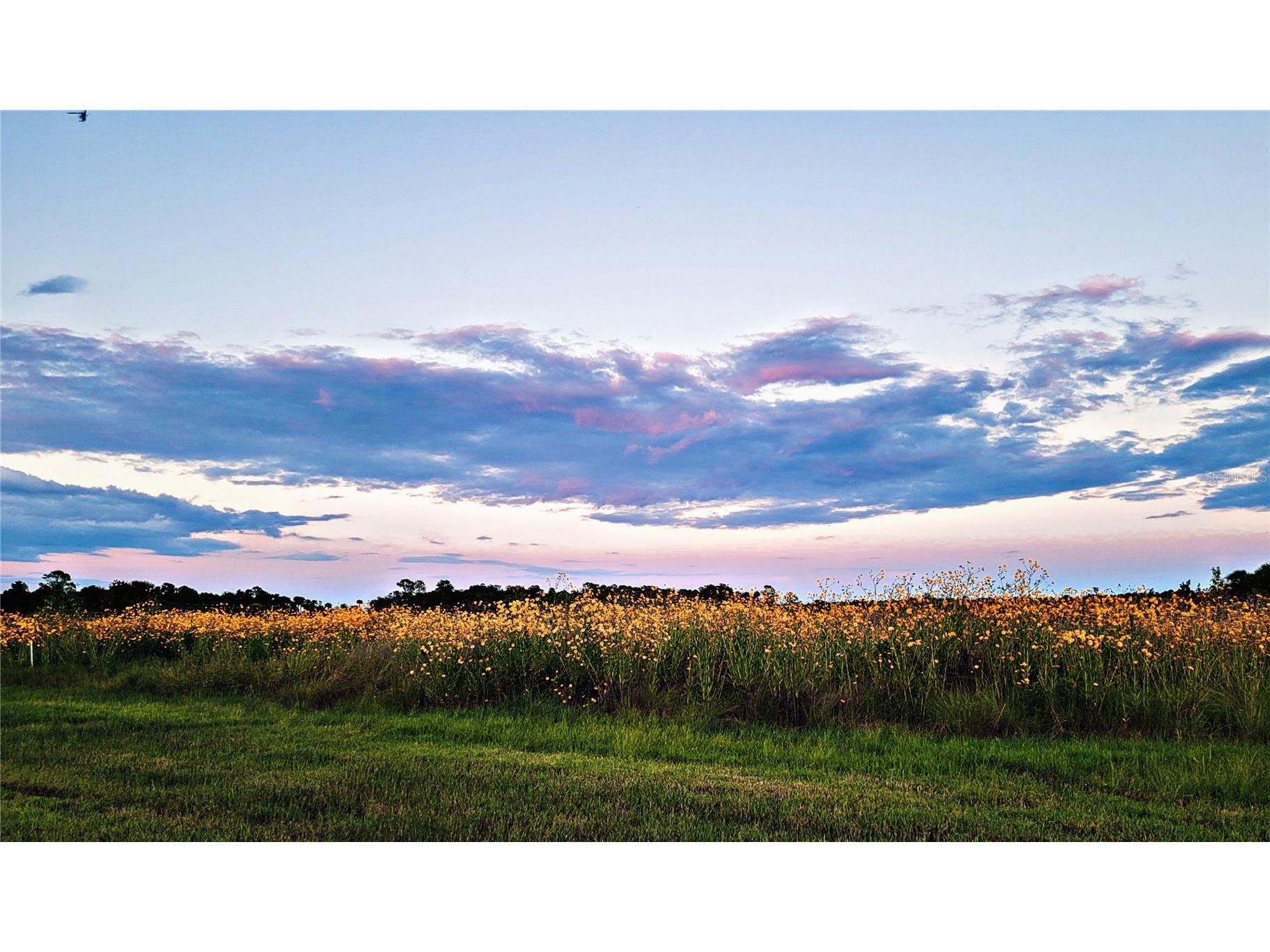 2269 Mullet Lake Park Road Geneva FL 32732 O6391228 image75