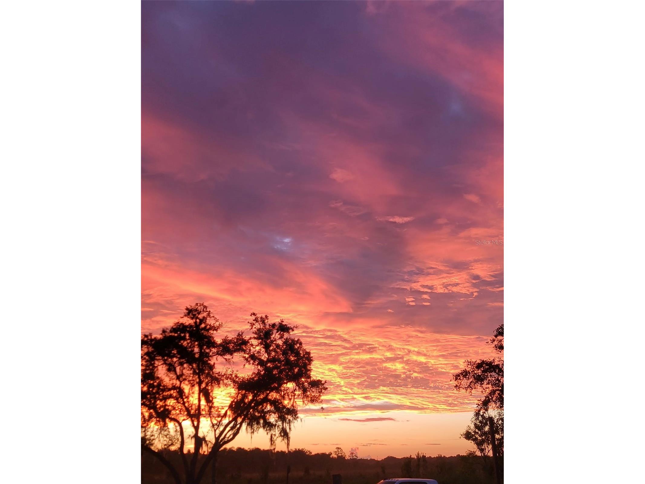 2269 Mullet Lake Park Road Geneva FL 32732 O6391228 image76