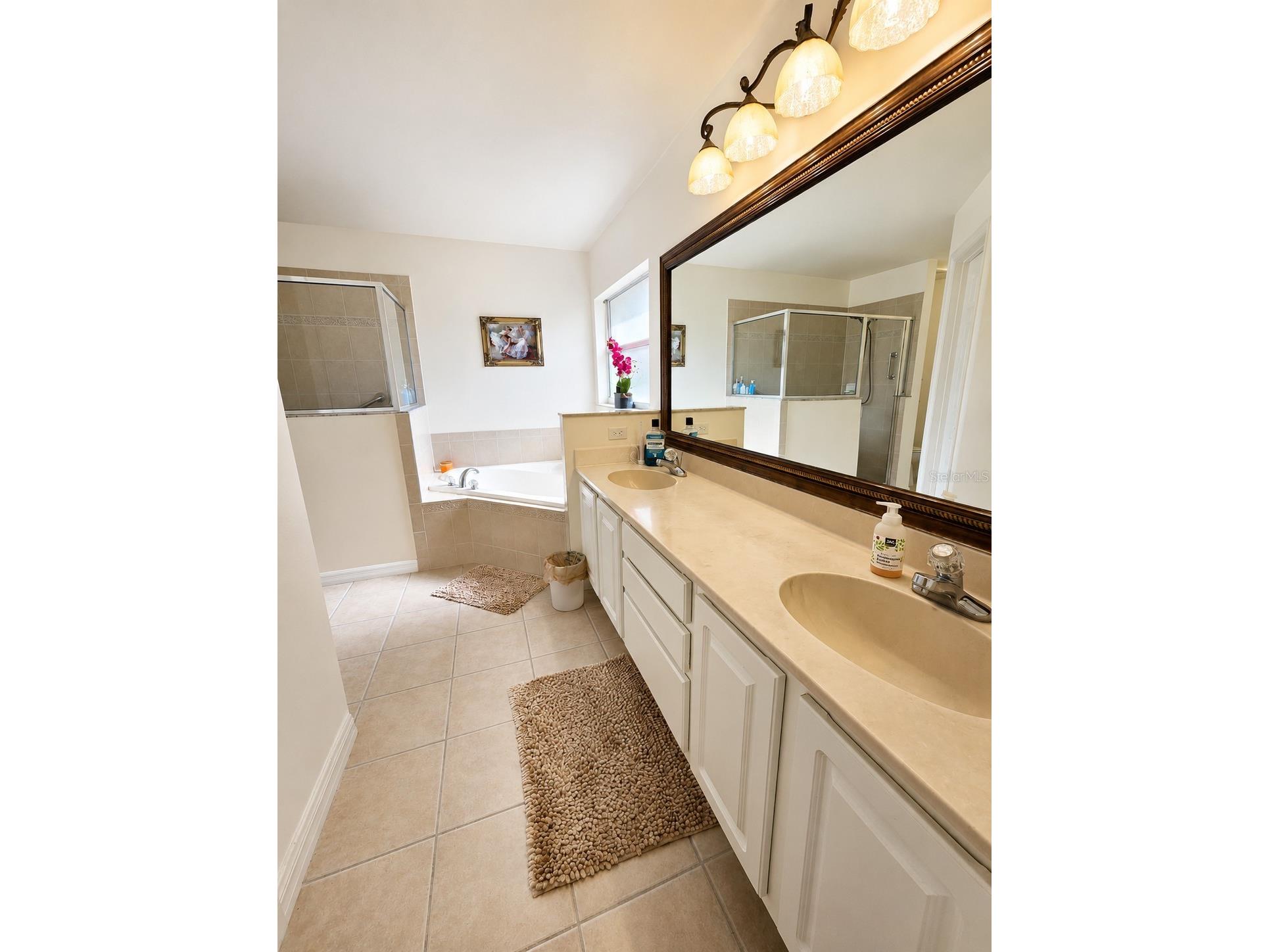 227 Cambridge Avenue Davenport FL 33896 S5150512 image10