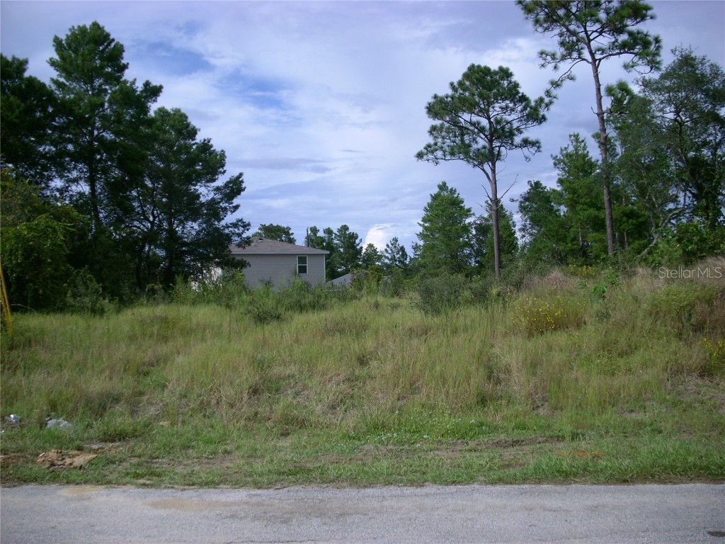 227 Hyacinth Court Poinciana FL 34759 S5056667 image1