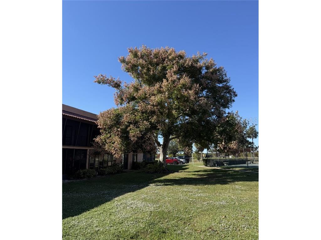 227 La Casa #227 Lake Wales FL 33898 S5137923 image34