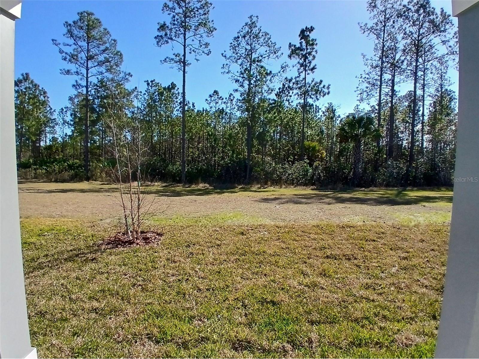 227 Montgomery Court Palm Coast FL 32164 FC314829 image15