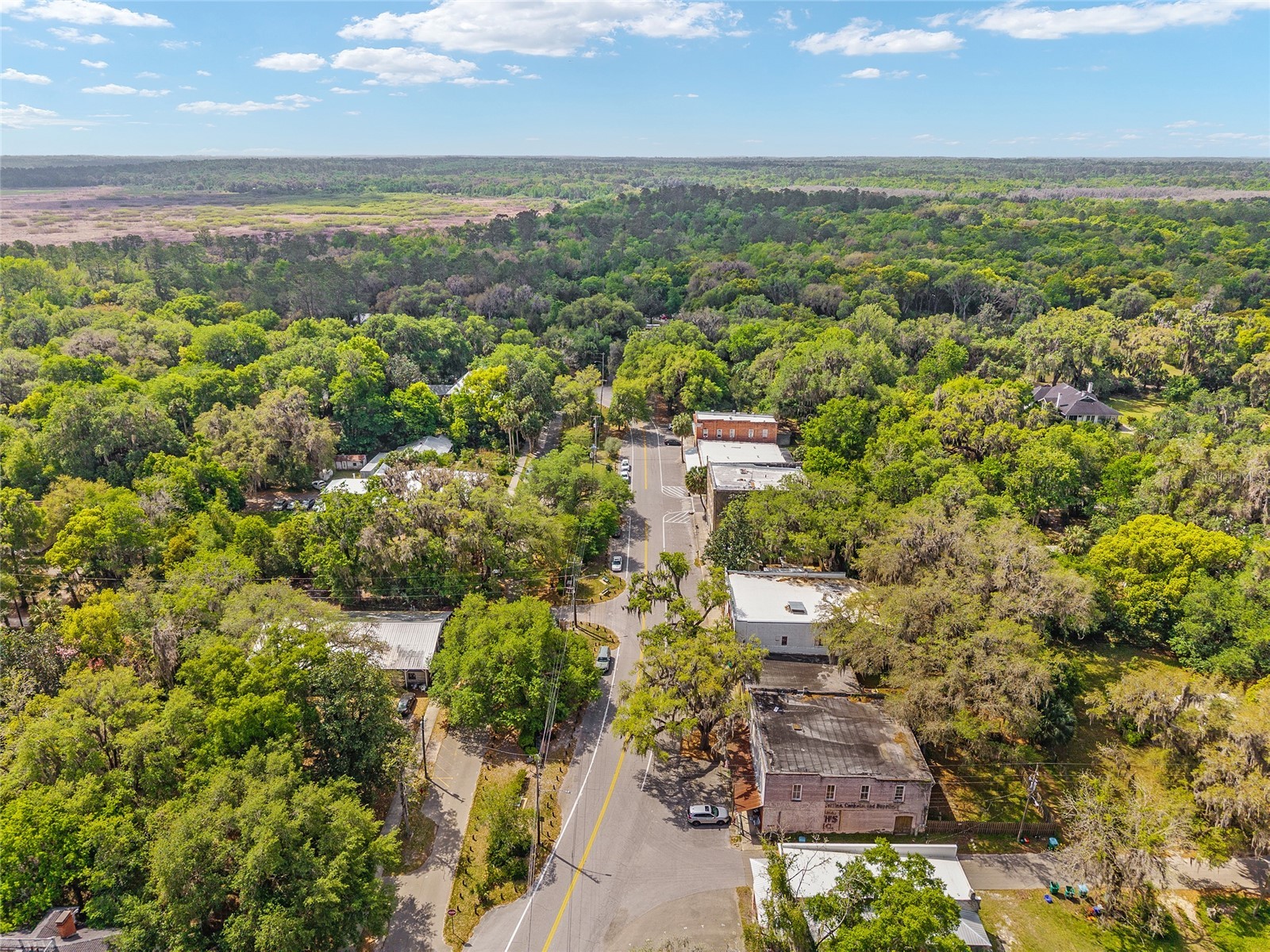 227 SE Tuscawilla Road Micanopy FL 32667 OM722133 image10