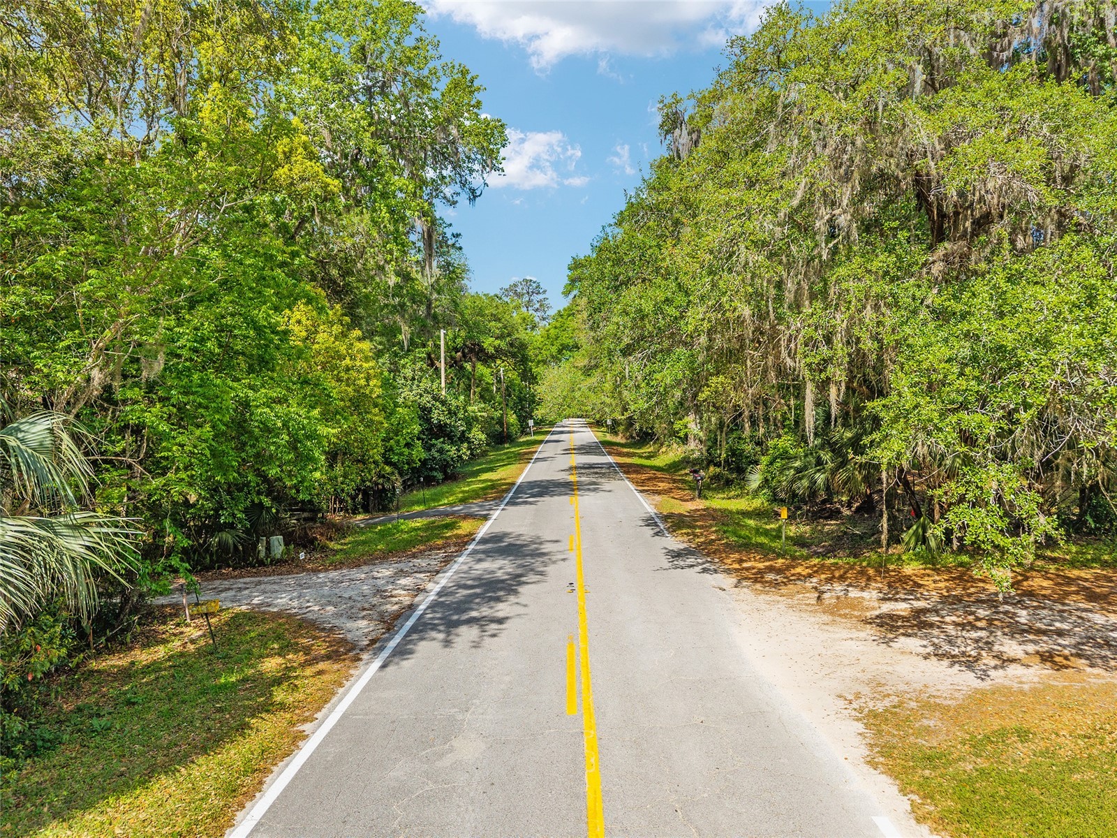 227 SE Tuscawilla Road Micanopy FL 32667 OM722133 image3