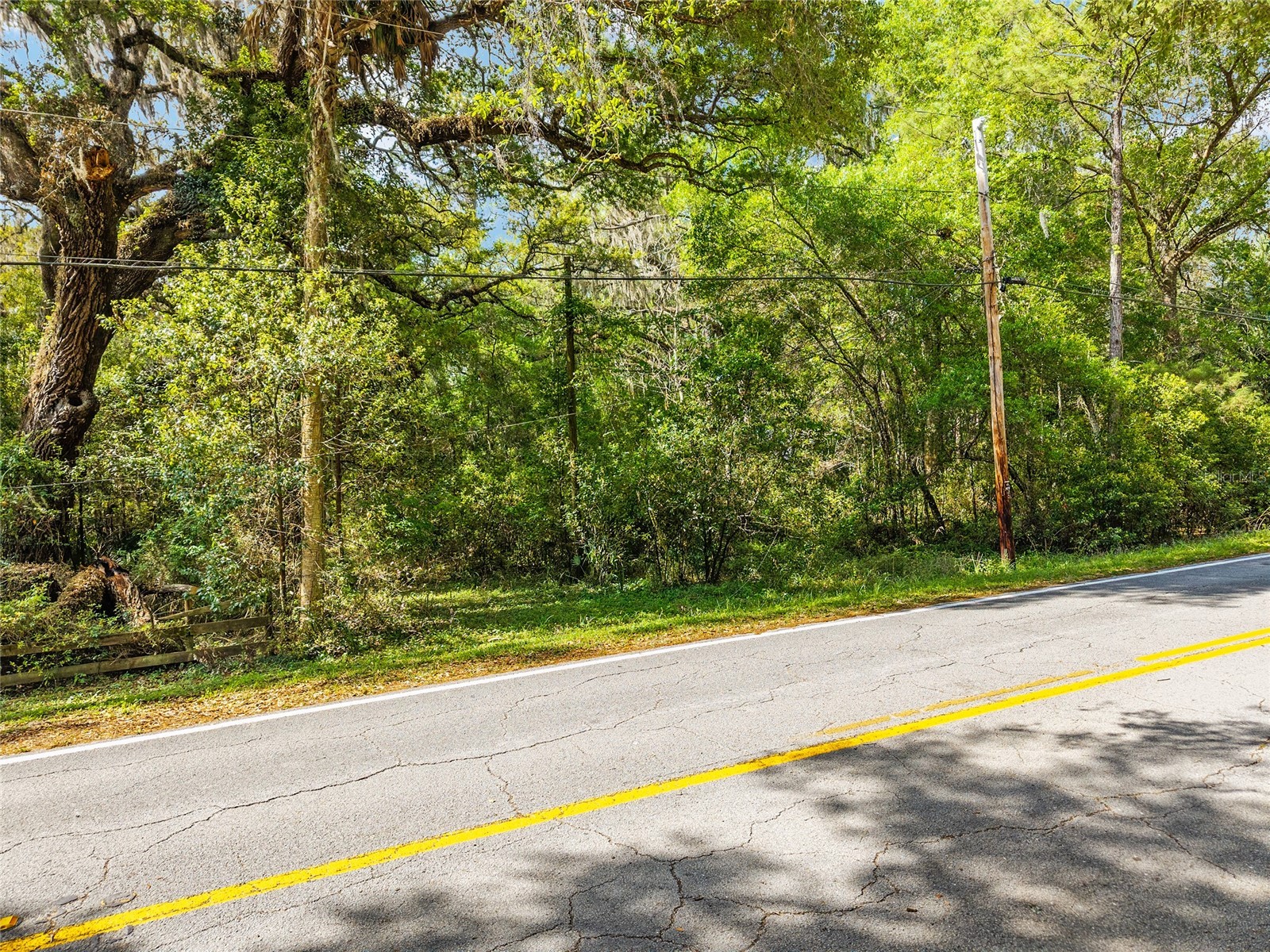 227 SE Tuscawilla Road Micanopy FL 32667 OM722133 image4