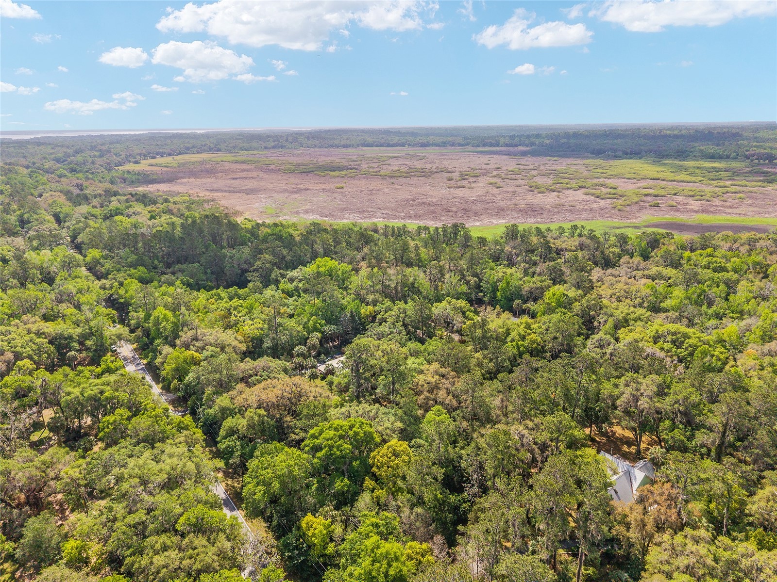 227 SE Tuscawilla Road Micanopy FL 32667 OM722133 image5