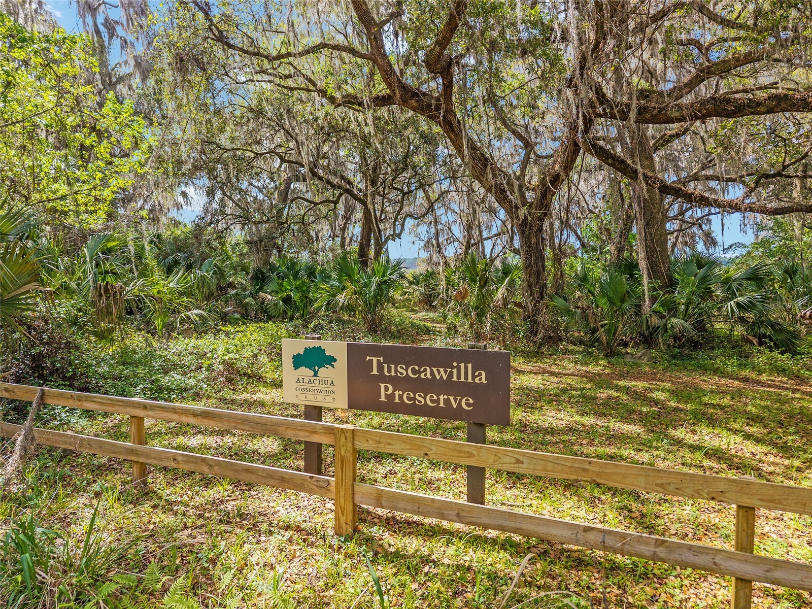 227 SE Tuscawilla Road Micanopy FL 32667 OM722133 image6