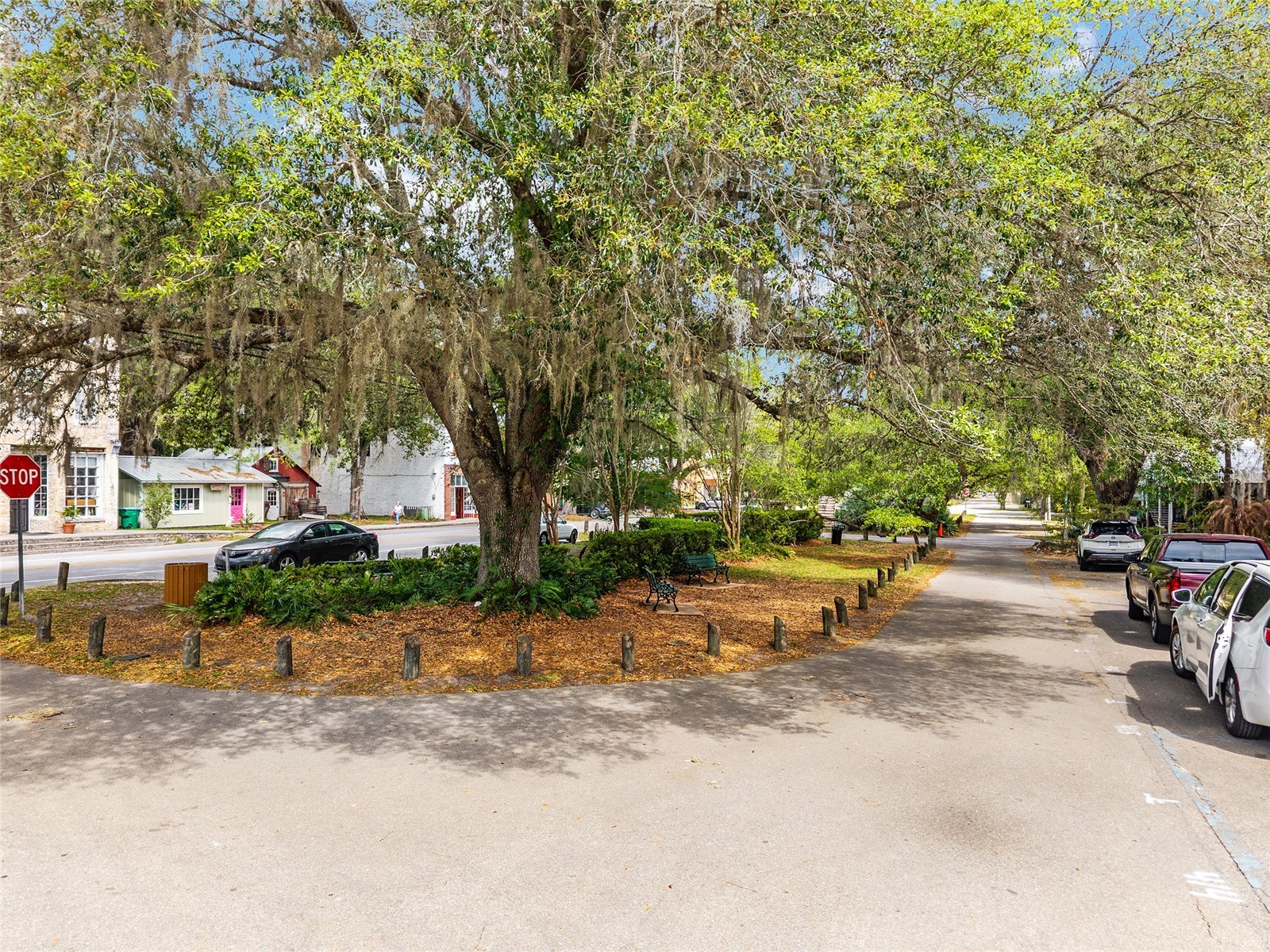 227 SE Tuscawilla Road Micanopy FL 32667 OM722133 image8