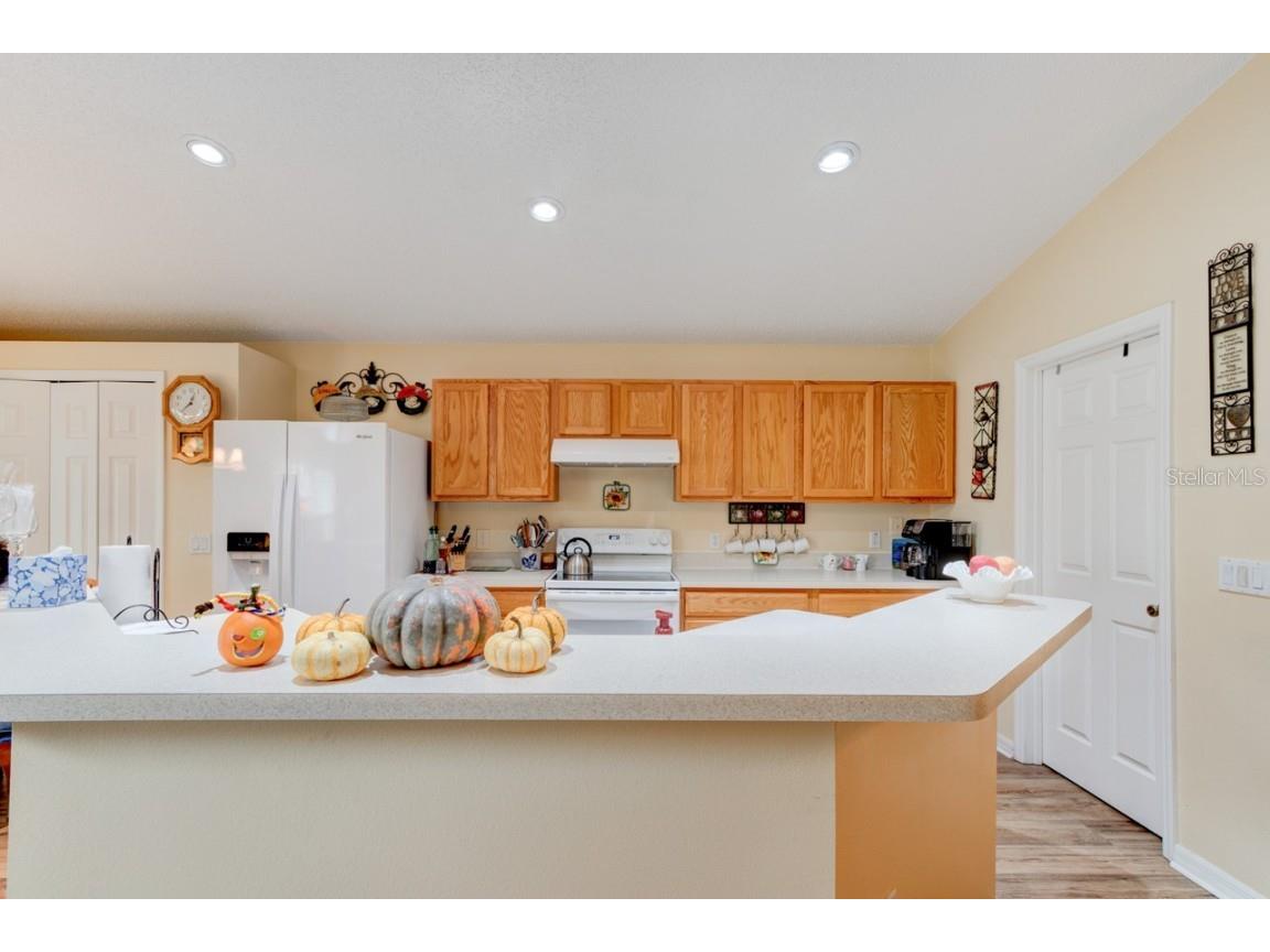 227 Two Oaks Drive Edgewater FL 32141 NS1086710 image13