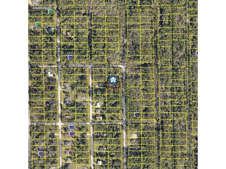 2270 East Parkway Deland FL 32724 S5137475 image1