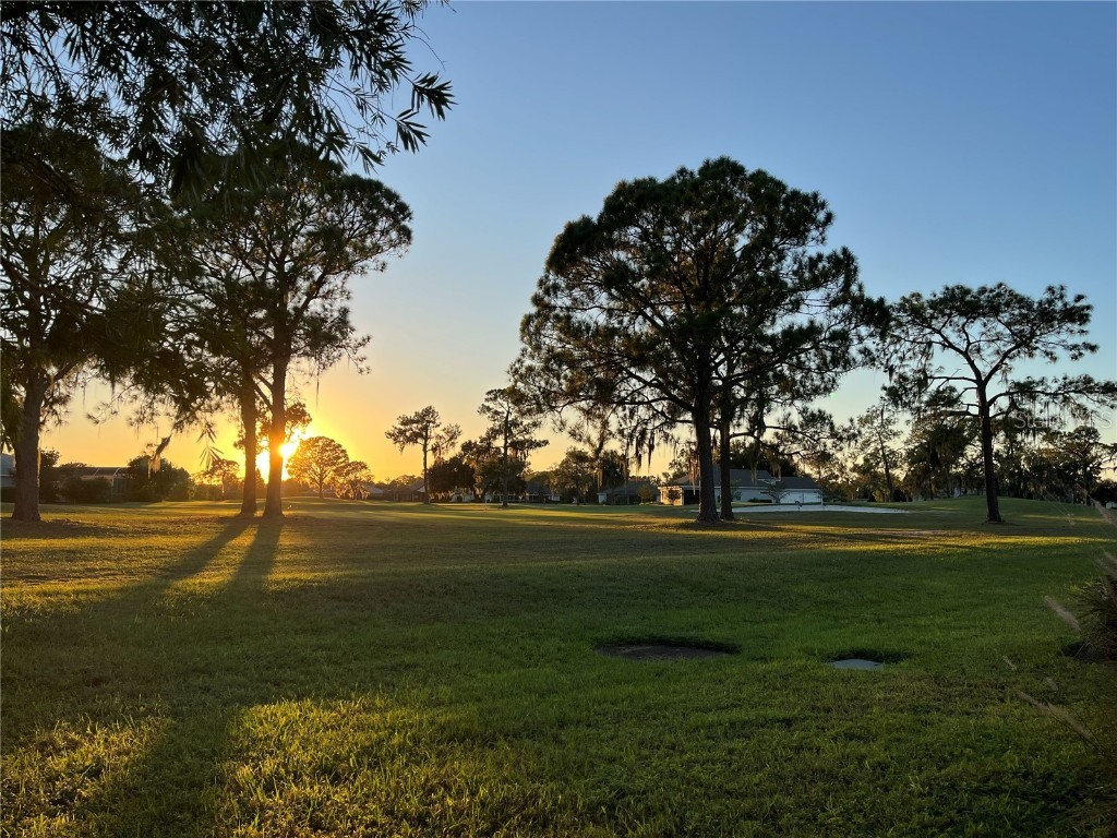 2270 Firestone Place Winter Haven FL 33884 TB8440562 image22