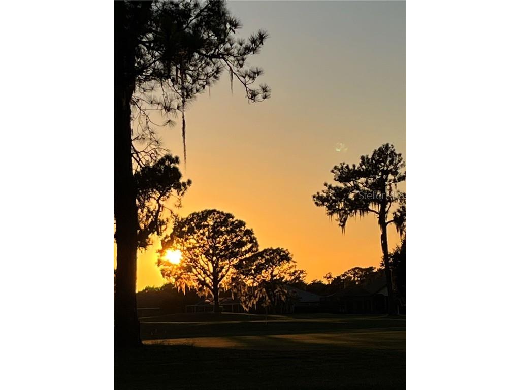 2270 Firestone Place Winter Haven FL 33884 TB8440562 image24