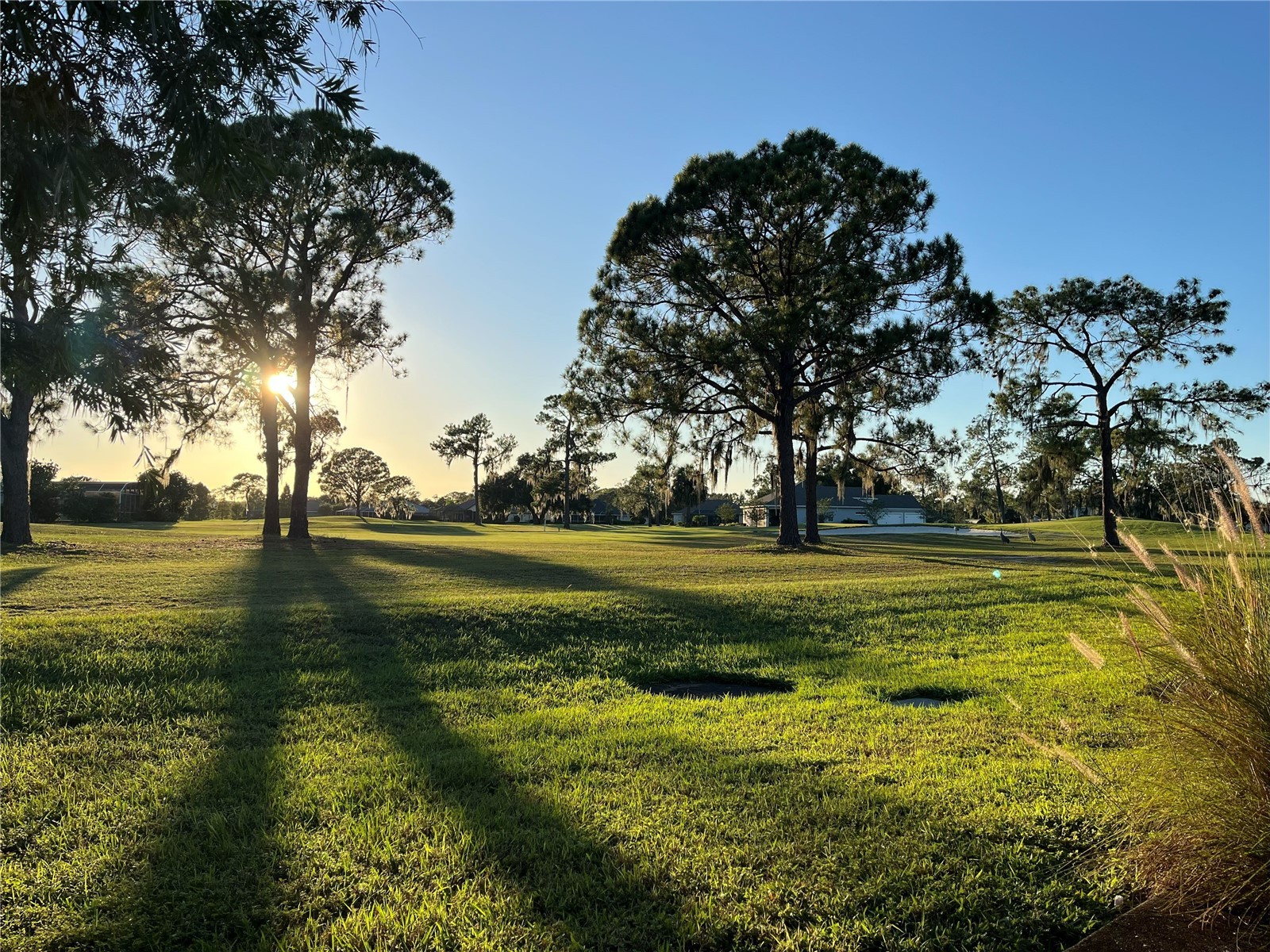 2270 Firestone Place Winter Haven FL 33884 TB8440562 image26
