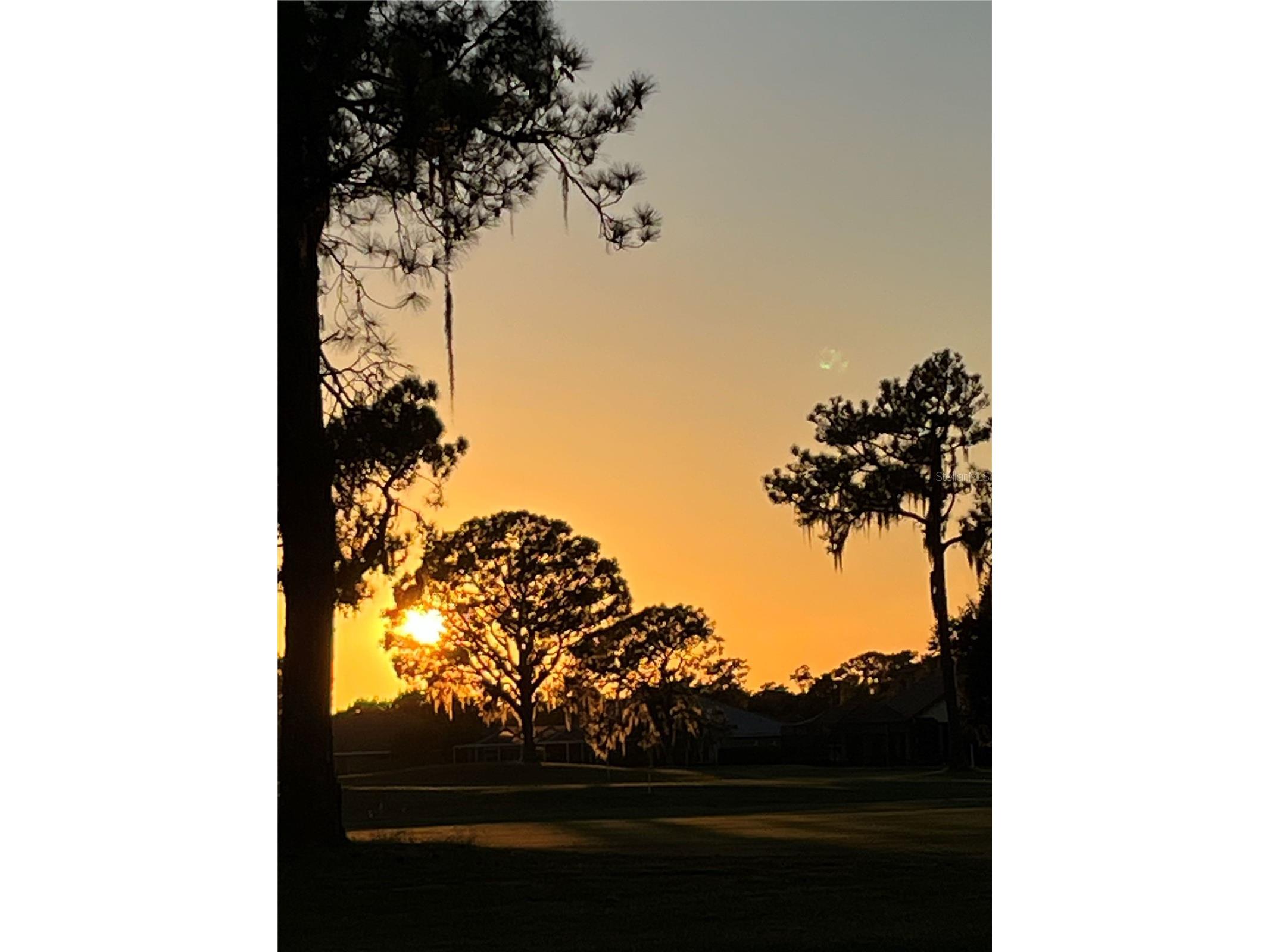 2270 Firestone Place Winter Haven FL 33884 TB8440562 image28