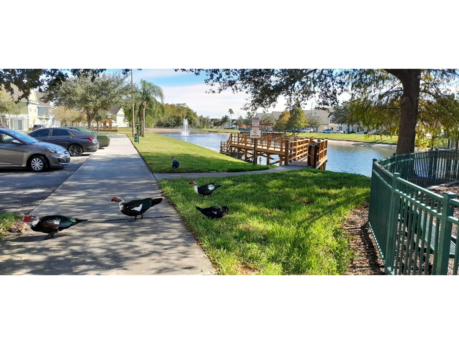 2270 San Vital Drive #107 Kissimmee FL 34741 O6349533 image14