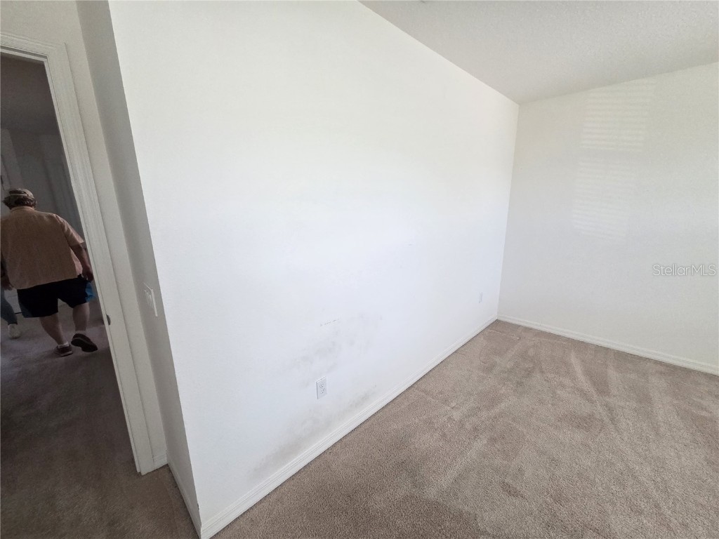 2270 Sheboygan Place Kissimmee FL 34758 S5138439 image15