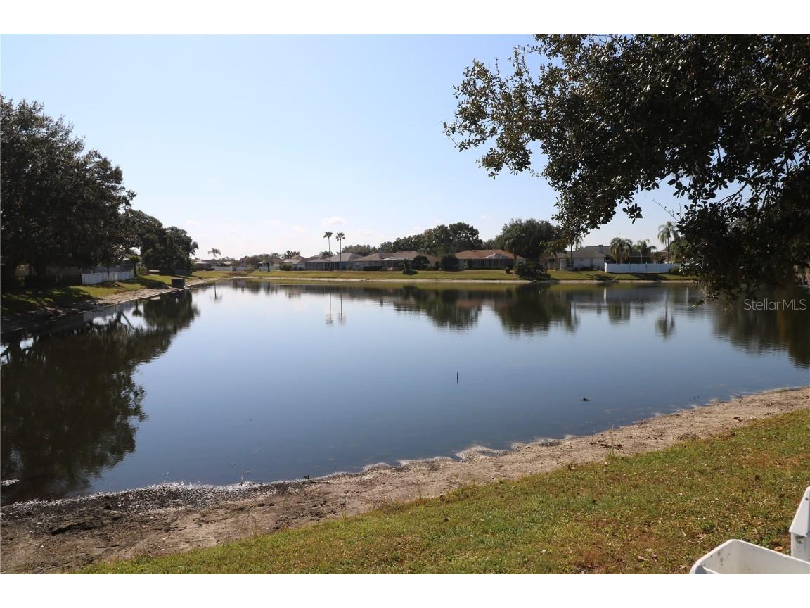 22704 Magnolia Trace Boulevard Lutz FL 33549 TB8451457 image7