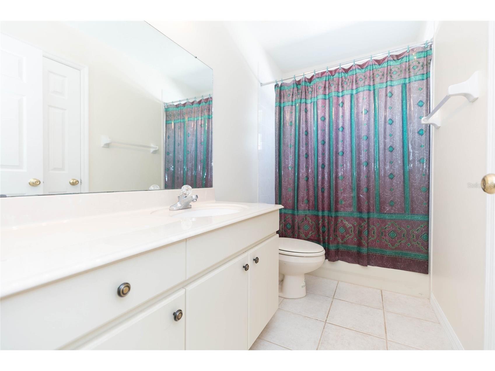 22704 Roderick Drive Land O Lakes FL 34639 TB8506649 image21