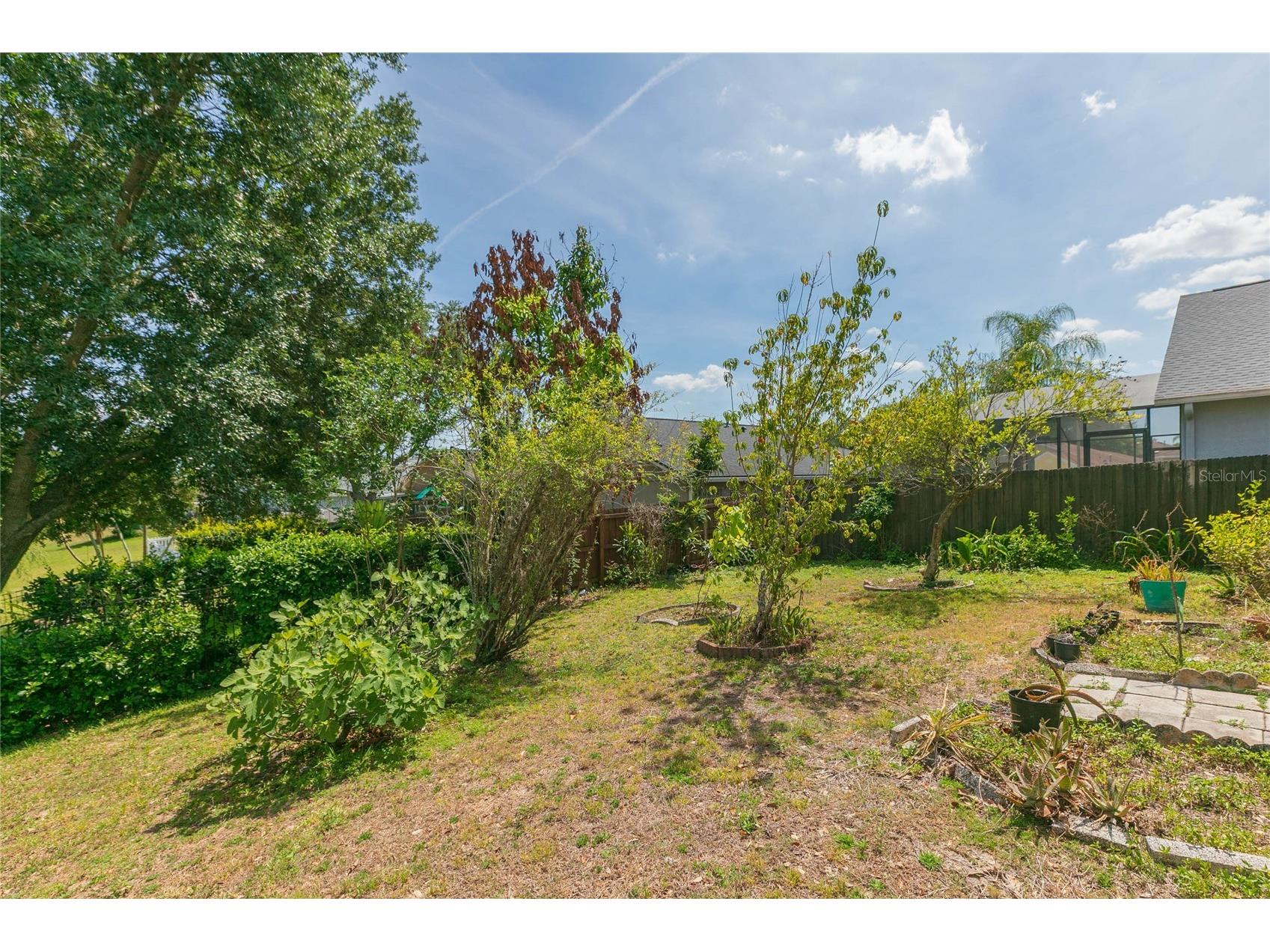 22704 Roderick Drive Land O Lakes FL 34639 TB8506649 image35