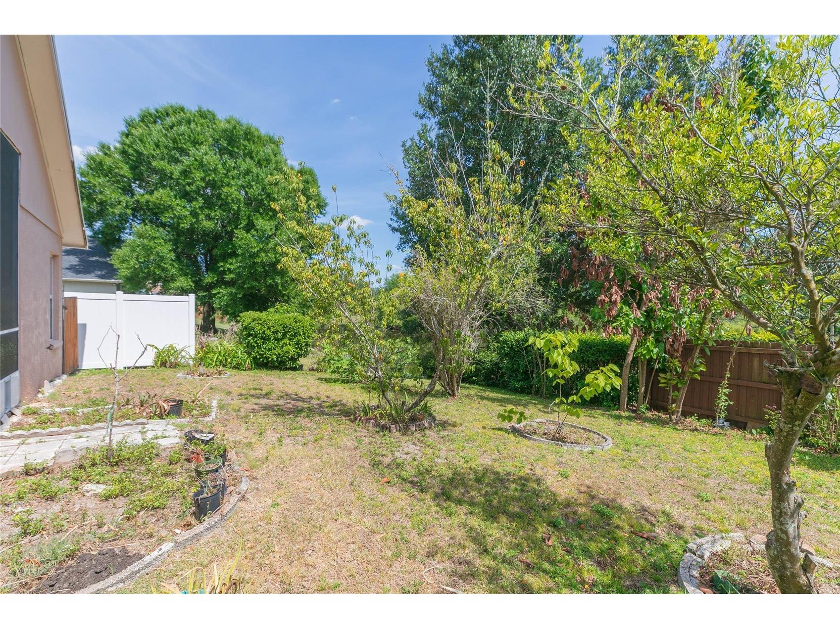 22704 Roderick Drive Land O Lakes FL 34639 TB8506649 image36