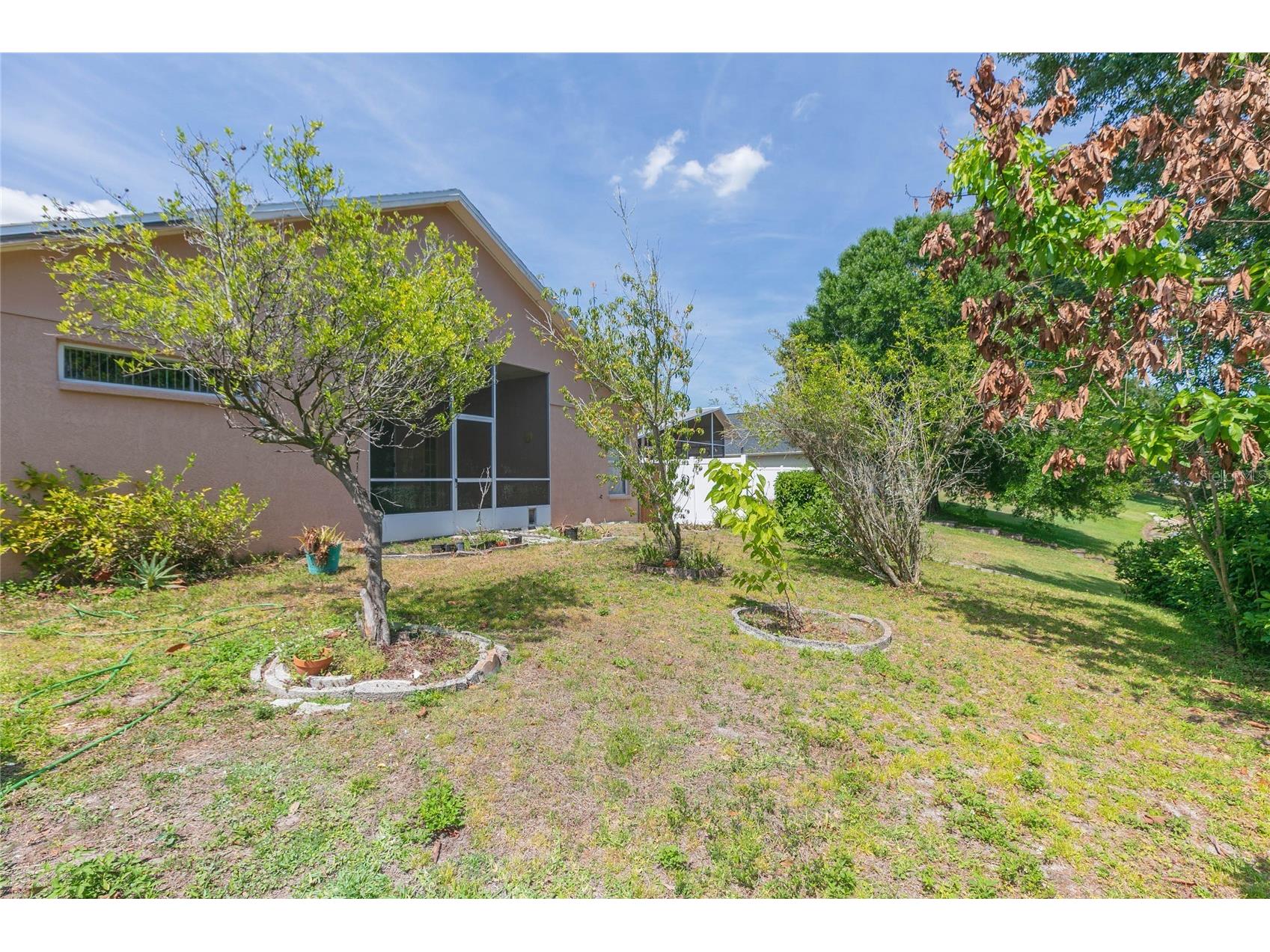 22704 Roderick Drive Land O Lakes FL 34639 TB8506649 image37