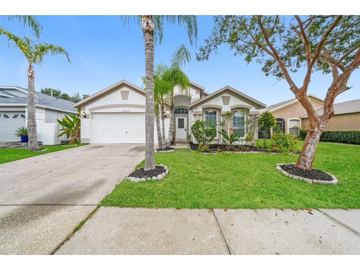 22707 Roderick Drive Land O Lakes FL 34639 C7515323 image1