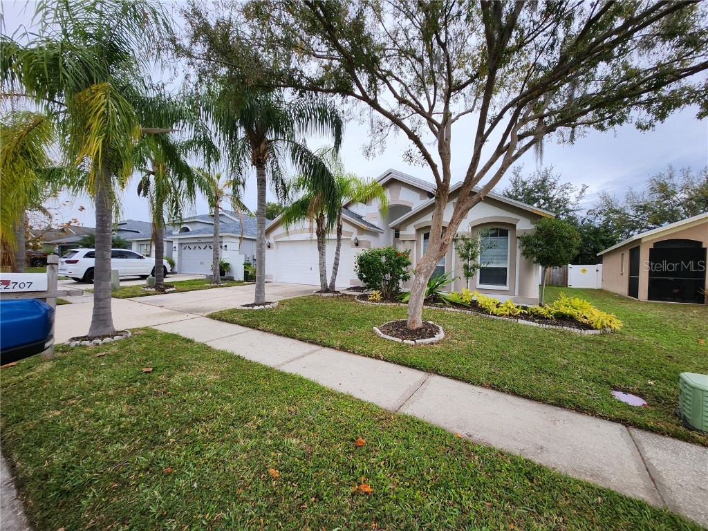 22707 Roderick Drive Land O Lakes FL 34639 TB8457897 image2