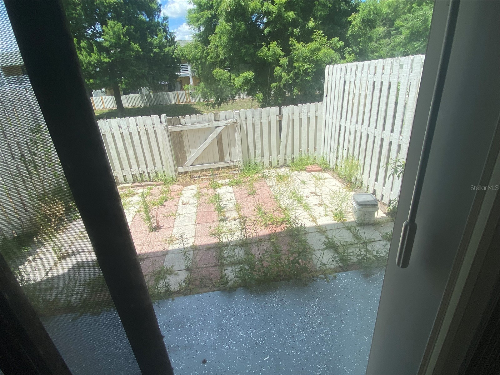 22707 Watersedge Boulevard #57 Land O Lakes FL 34639 TB8512102 image11