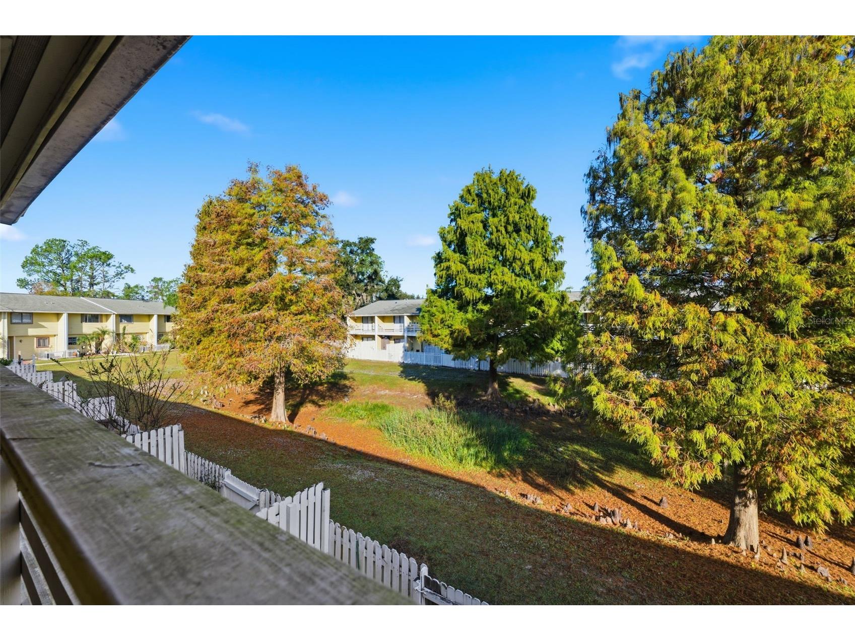 22707 Watersedge Boulevard #57 Land O Lakes FL 34639 W7880035 image24