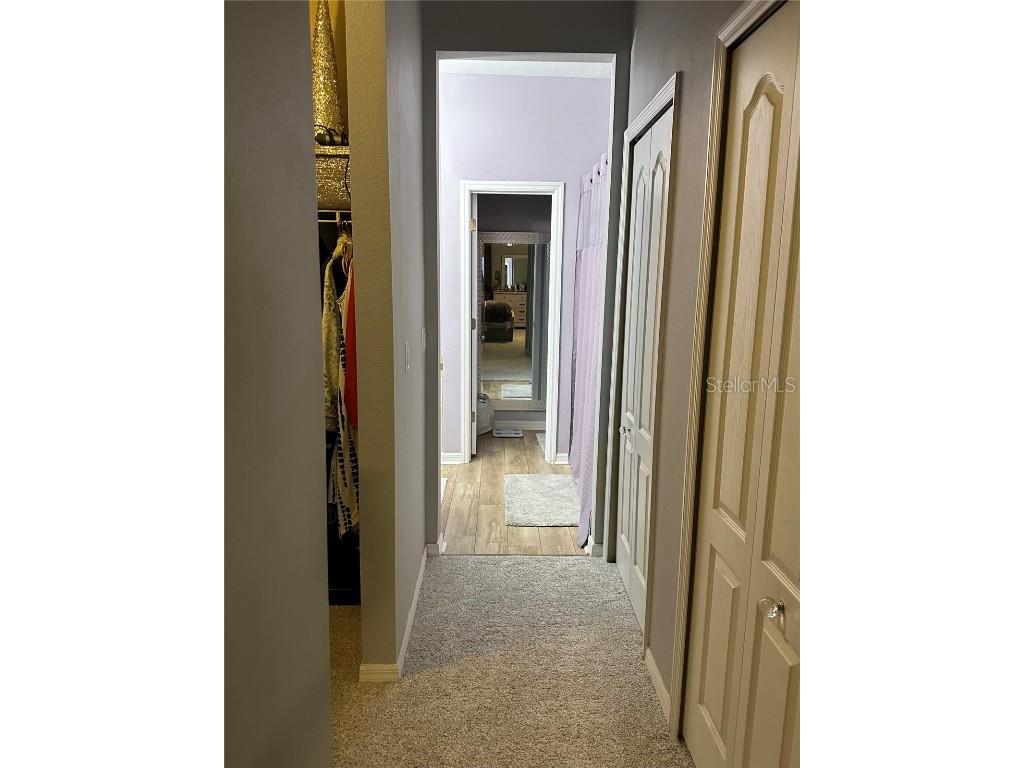 2271 50th Street Circle E Palmetto FL 34221 A4675952 image18