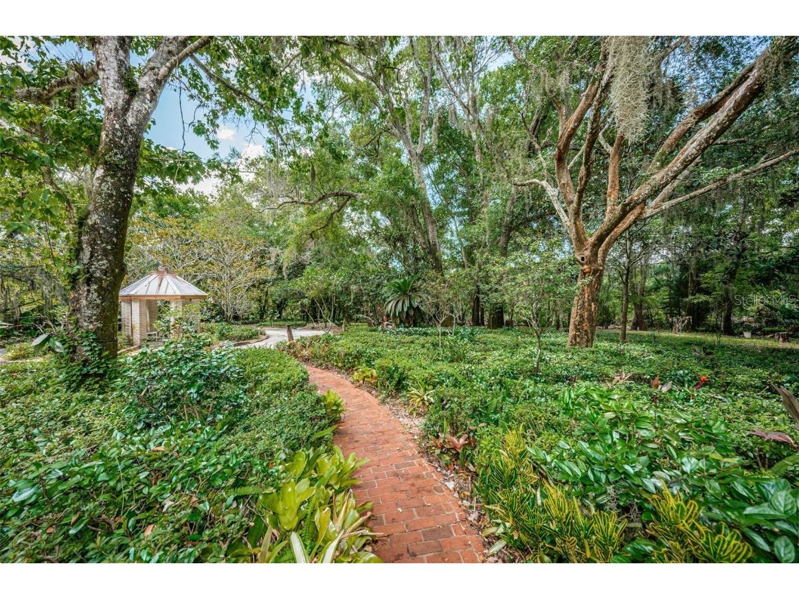 2271 Keystone Road Tarpon Springs FL 34688 T3543701 image13