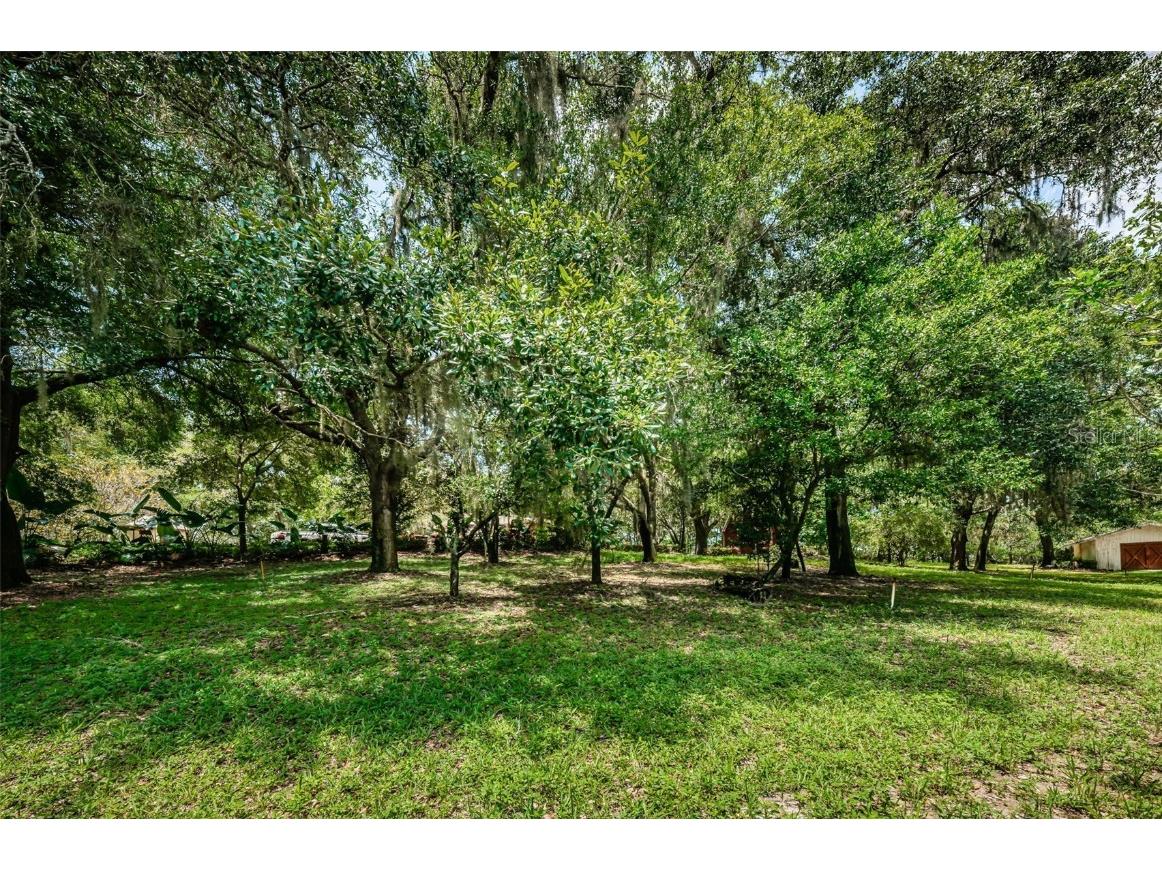 2271 Keystone Road Tarpon Springs FL 34688 T3543701 image44