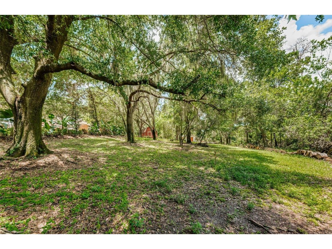 2271 Keystone Road Tarpon Springs FL 34688 T3543701 image48